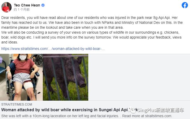 新加坡的野生动物也太不好惹了吧