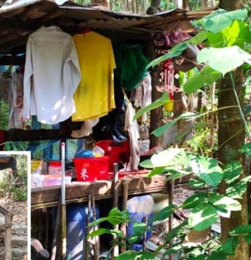 新加坡的叢林裏面竟然住著人!!快來看看吧