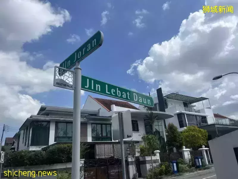 去年病例死例皆锐减85%,今年新加坡人免疫消退 骨痛热症疫情料严峻