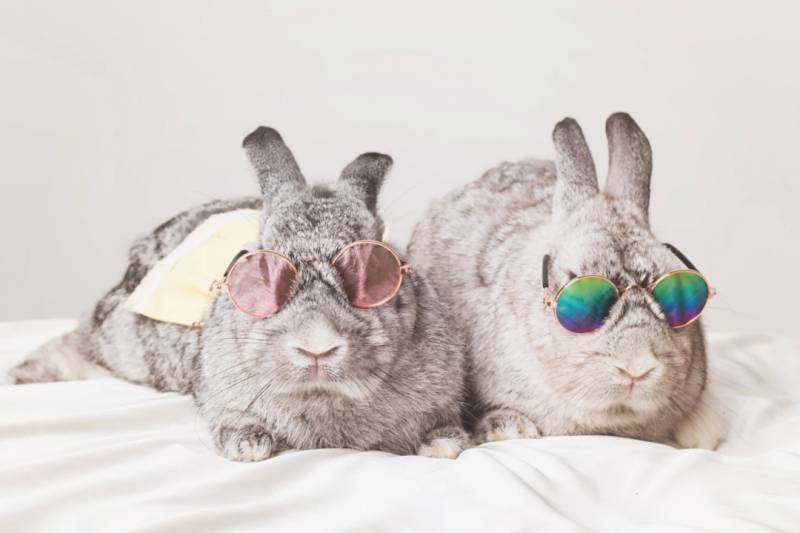 新加坡拍一套寫真需要多少錢?竟然只要59