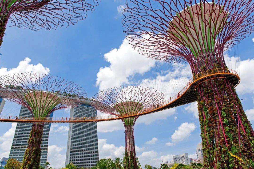 新加坡留學 私立大學優劣勢分析，手把手教你如何擇校