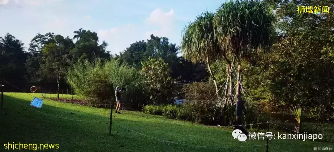 快来免费打卡新加坡这个世界文化遗产