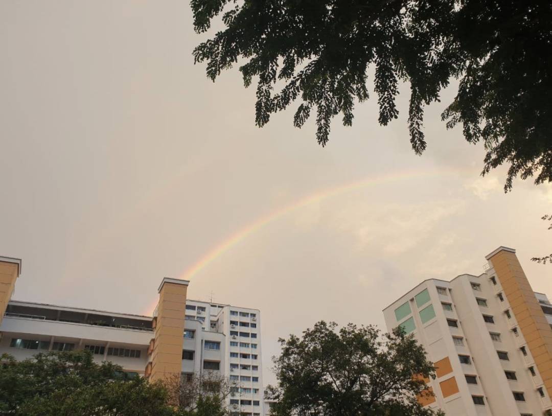 最新报告！今年，新加坡至少15万人离开，1万多家店倒闭