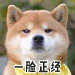 新加坡56周年國慶到了!勸你別亂挂國旗,當心被關小黑屋