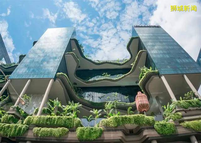 “被迫獨立”的重要港口到“亞洲四小龍”，新加坡走了55年