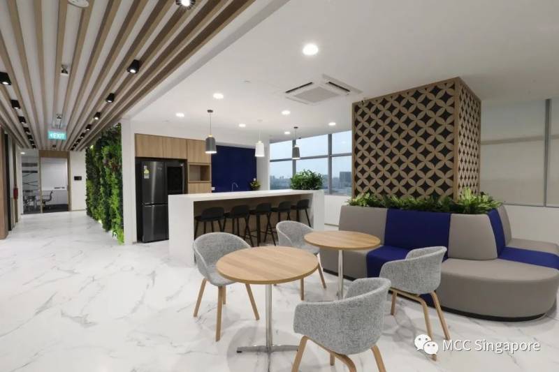 谁是中冶新加坡?(一)