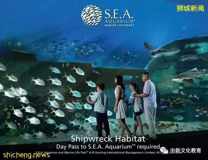 新加坡旅遊,9大網紅打卡地