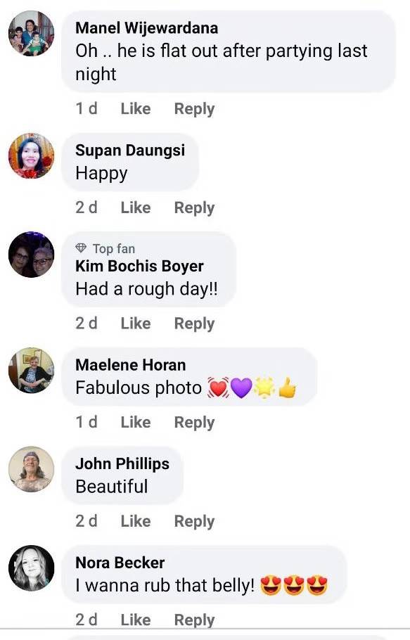 这只水獭爸爸的睡照是我见过最治愈的睡姿