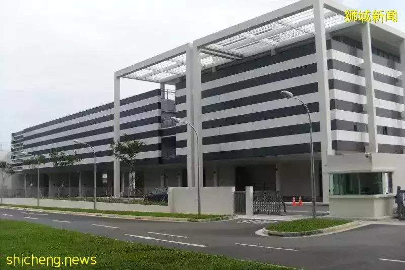 史上最強攻略!在新加坡如何選學校?國際學校vs政府學校,哪個好