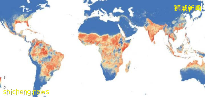 最新排名出爐！清華超過新加坡國大和南大，成爲亞洲第一