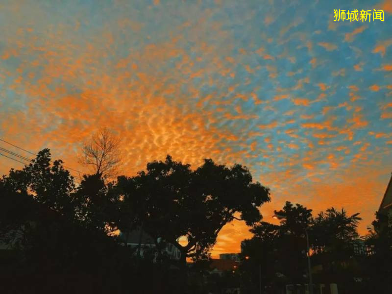 新加坡——全球最美花園城市