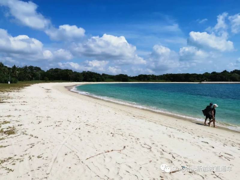 新加坡政府發的100新幣這麽用才最省錢!免費島內遊不是夢