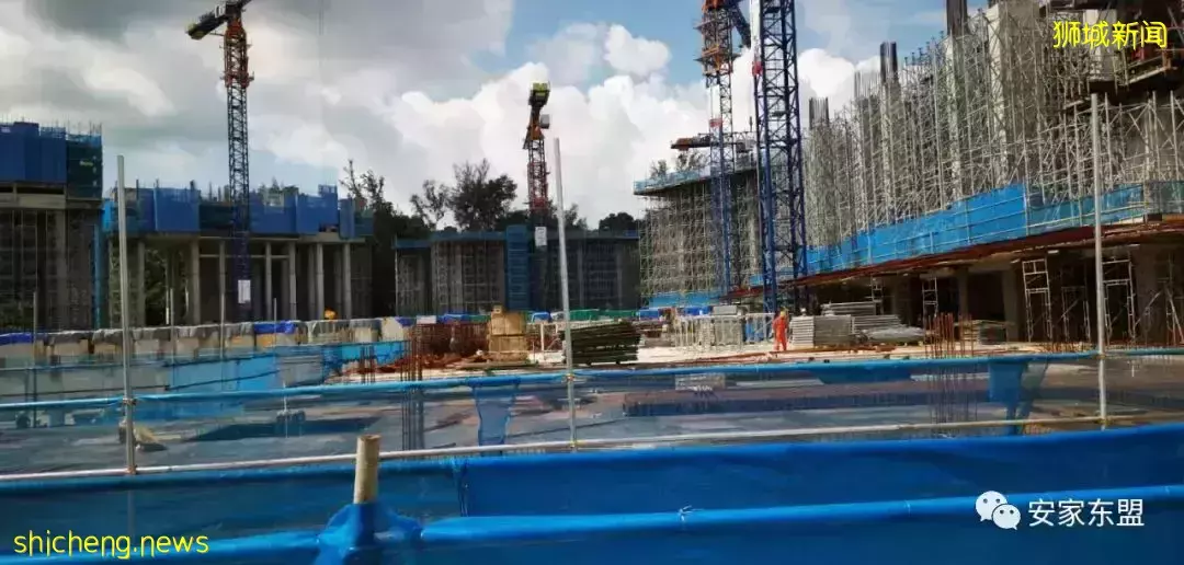 鑫悅府Normanton Park一年賣了88%，還剩224間，3月5日又將起價，手慢無