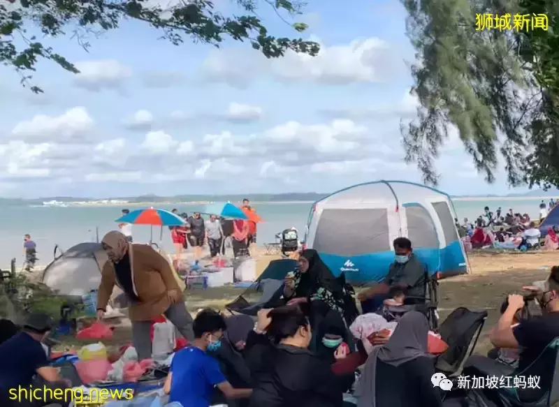 野奢式露營在新加坡日益受歡迎 相關産品越變越時尚好看便利