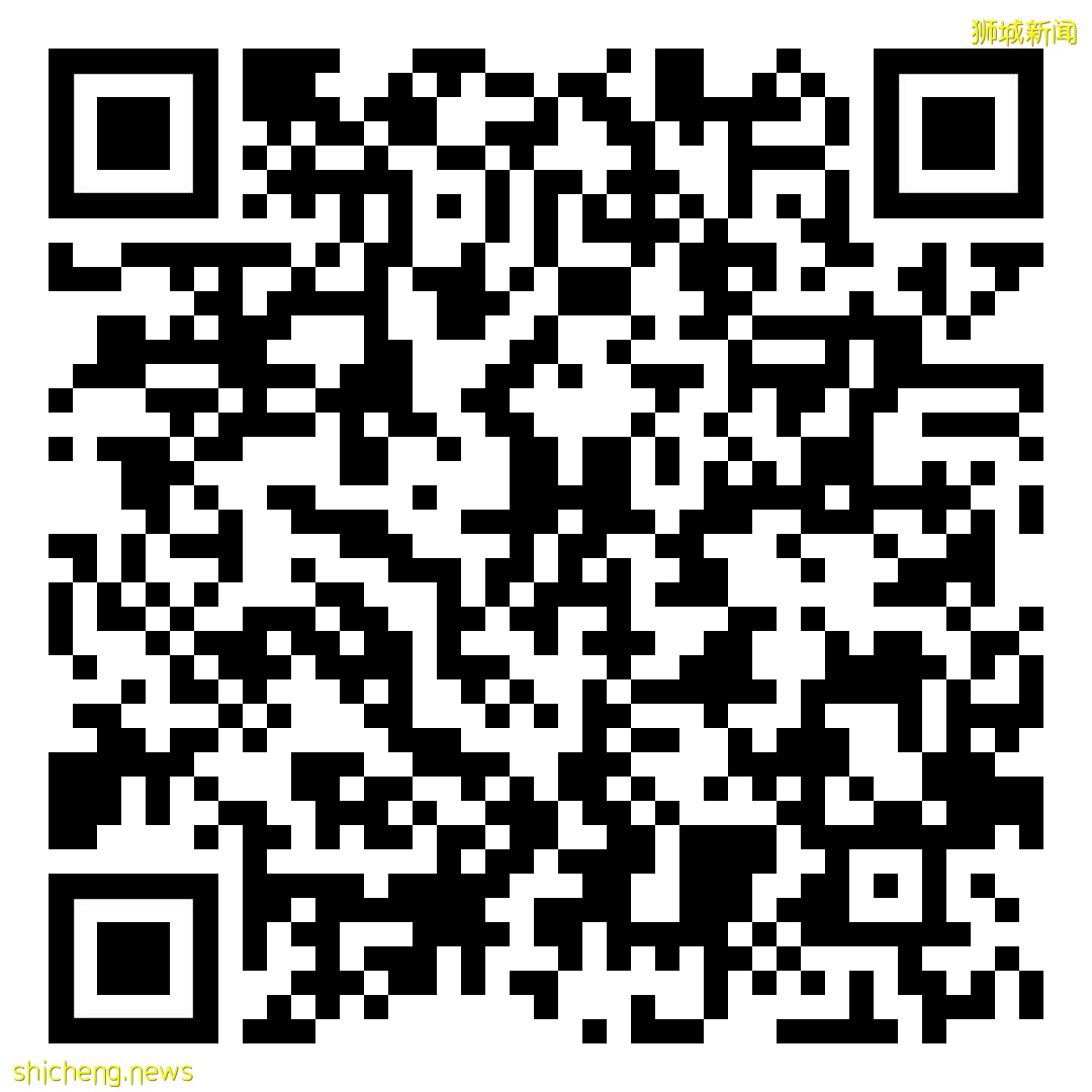 新加坡：未來之路