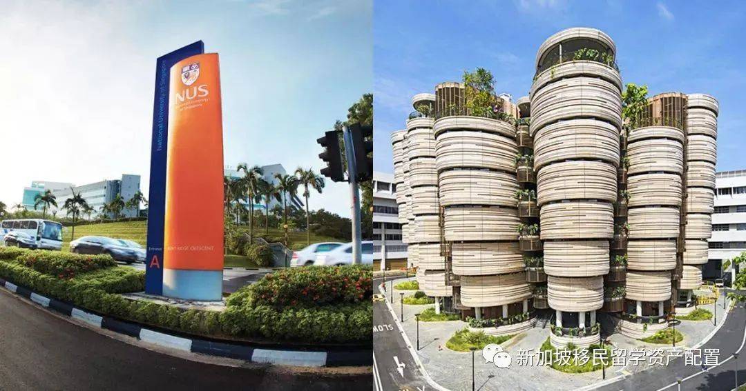 【移民資訊】快速帶您了解,移民爲何首選新加坡