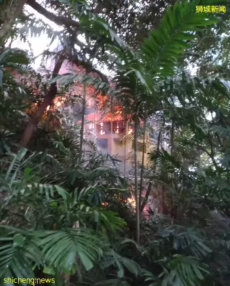 龟屿拿督公庙三圣祠烧毁 看守人哽咽诉“难相信”