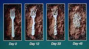 發達的新加坡，爲何明年才正式“限塑”