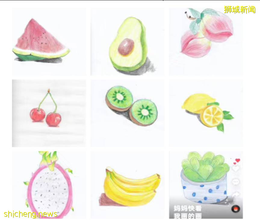 “我,一個人帶兩個娃,在新加坡這樣安排學生假期