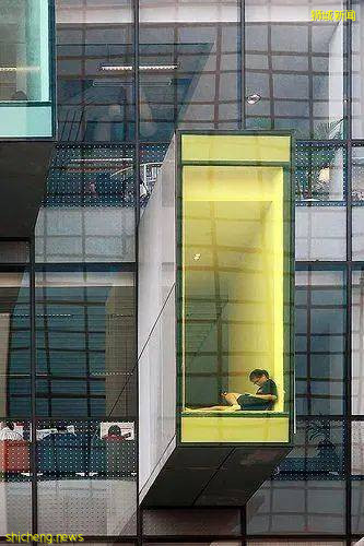 真正國際教育!身邊朋友都把孩子送這兒來了