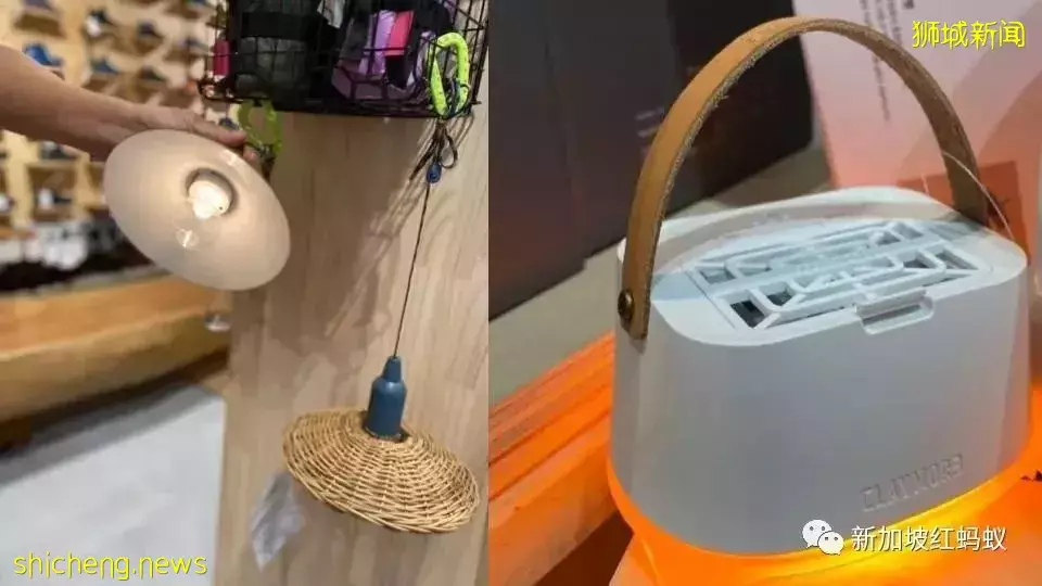 野奢式露營在新加坡日益受歡迎 相關産品越變越時尚好看便利