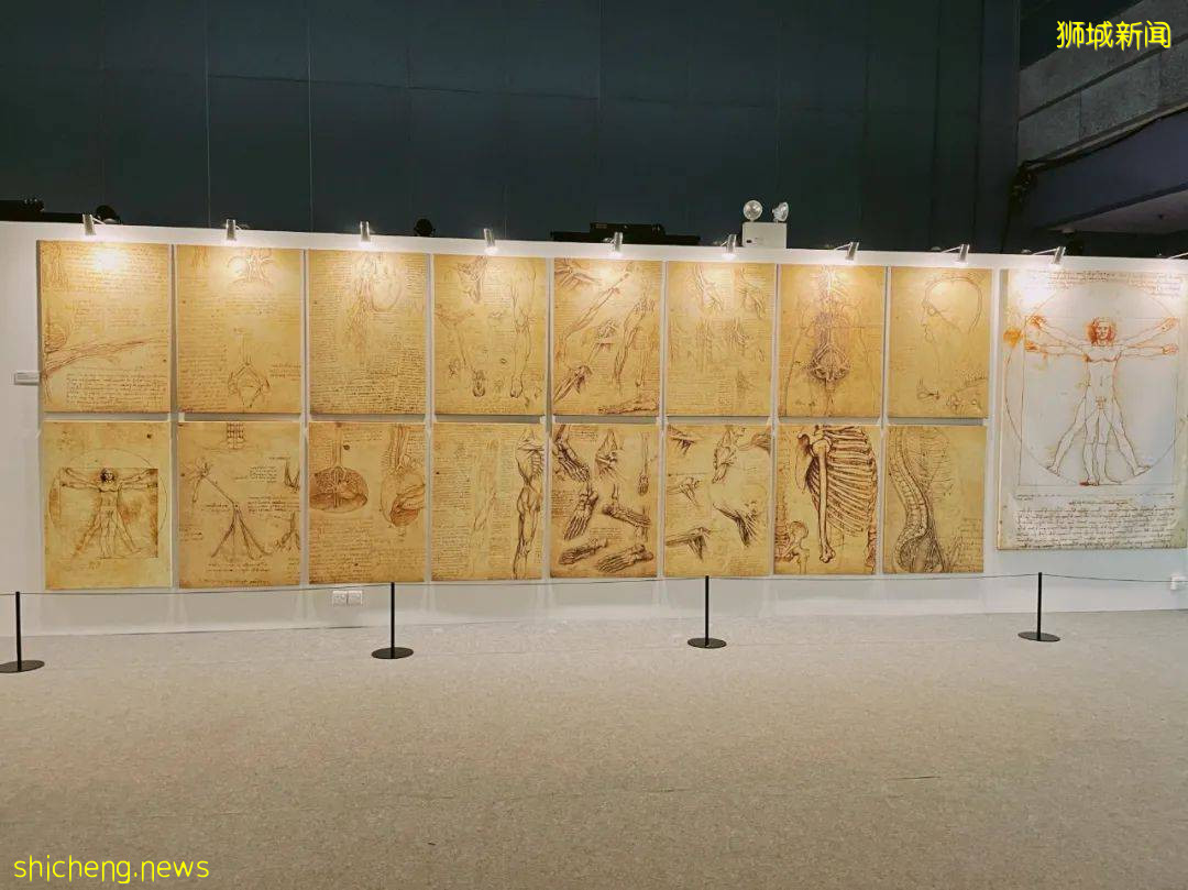 送票!獨家85折!火爆全球的達芬奇展,終于來新加坡啦!搶先看