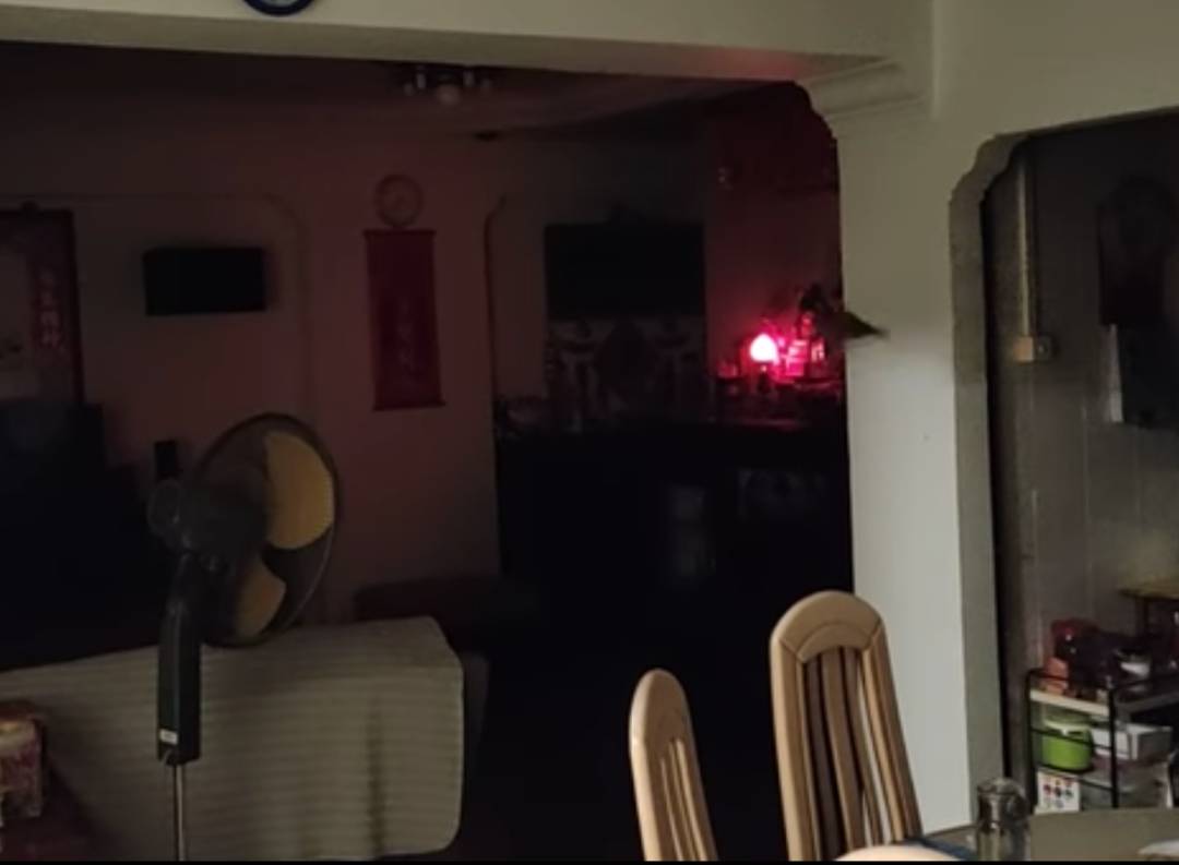 “救命！我在新加坡厨房里挂了一串香蕉，引来一群蝙蝠！”