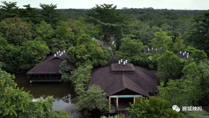 500种热带动植物免费看!超大蜥蜴、候鸟、鳄鱼,新加坡这地儿你肯定没来过