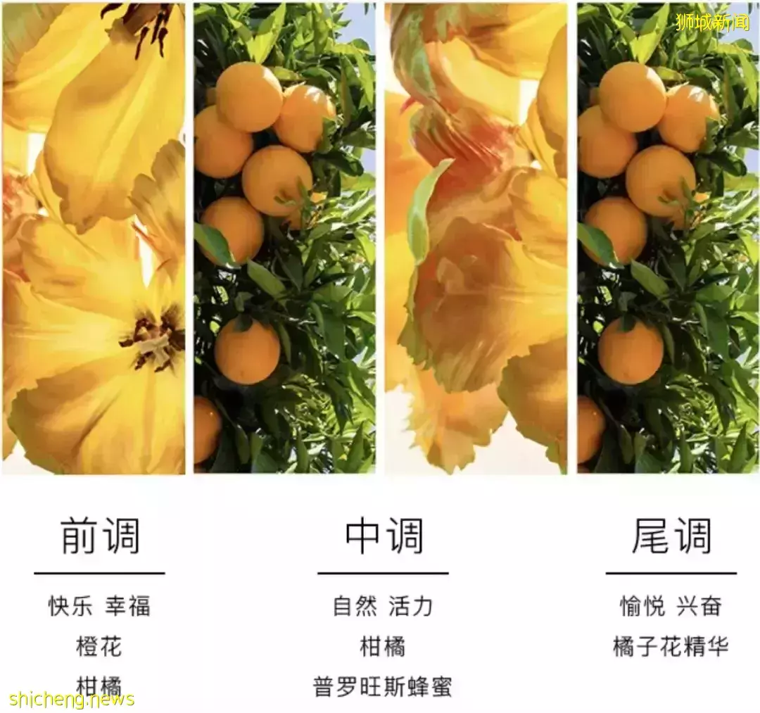 臘味、火鍋...在新加坡過年必做這些事!送年貨大禮包