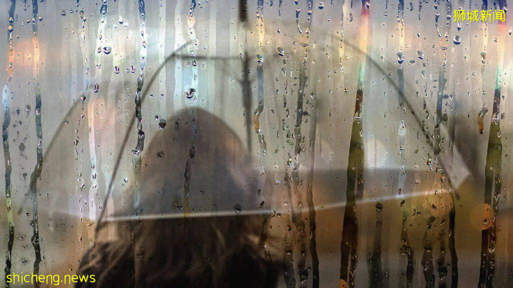 最新調查：新加坡女性的自殺傾向高過男性40% .