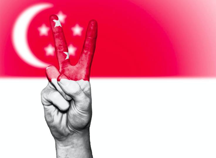 新加坡醫療：世界領先爲何故