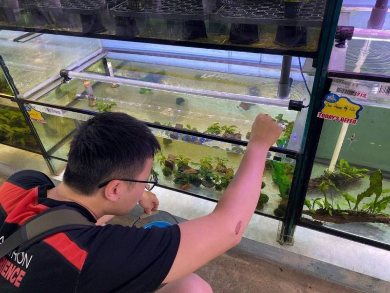 周末新玩法!新加坡仟湖魚場🐟 賞魚+魚療+搜魚體驗活動!免費入場、免費專程巴士載送