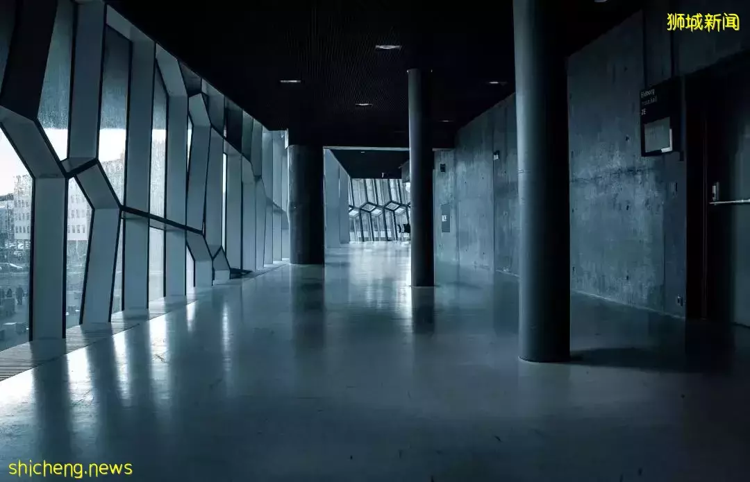 重视!新加坡休眠公司不能真的“休眠”