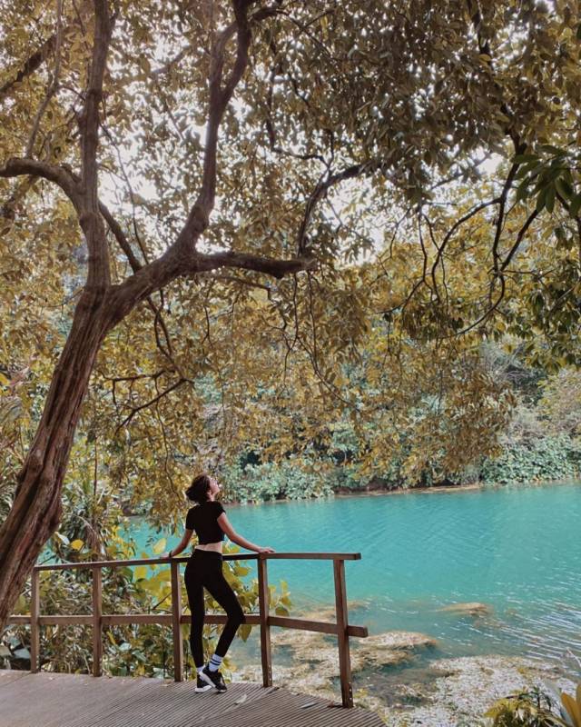 新加坡“麥裏芝蓄水池 MacRitchie Reservoir”深度遊！自然仙境、徒步指南、周邊活動逐個看