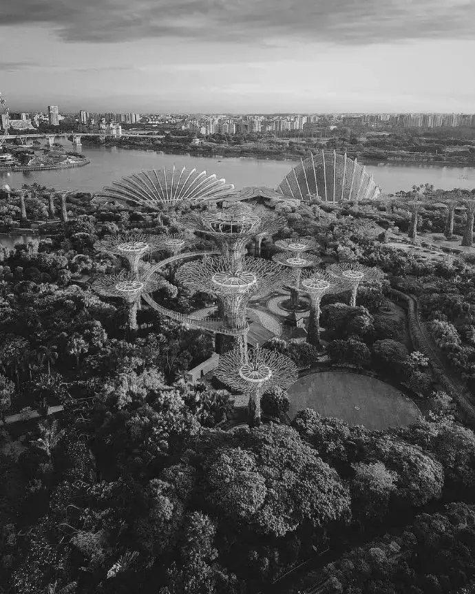 對不起,新加坡變了!“2021年最後一天,我突然想起這50個瞬間”