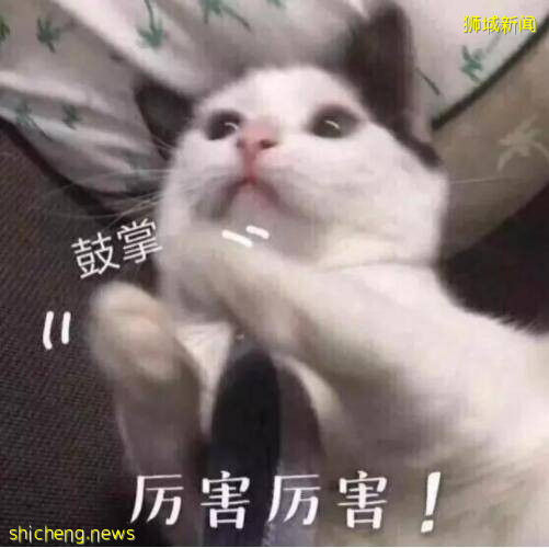 在新加坡每個人都適合打“追加劑”嗎？一文秒懂