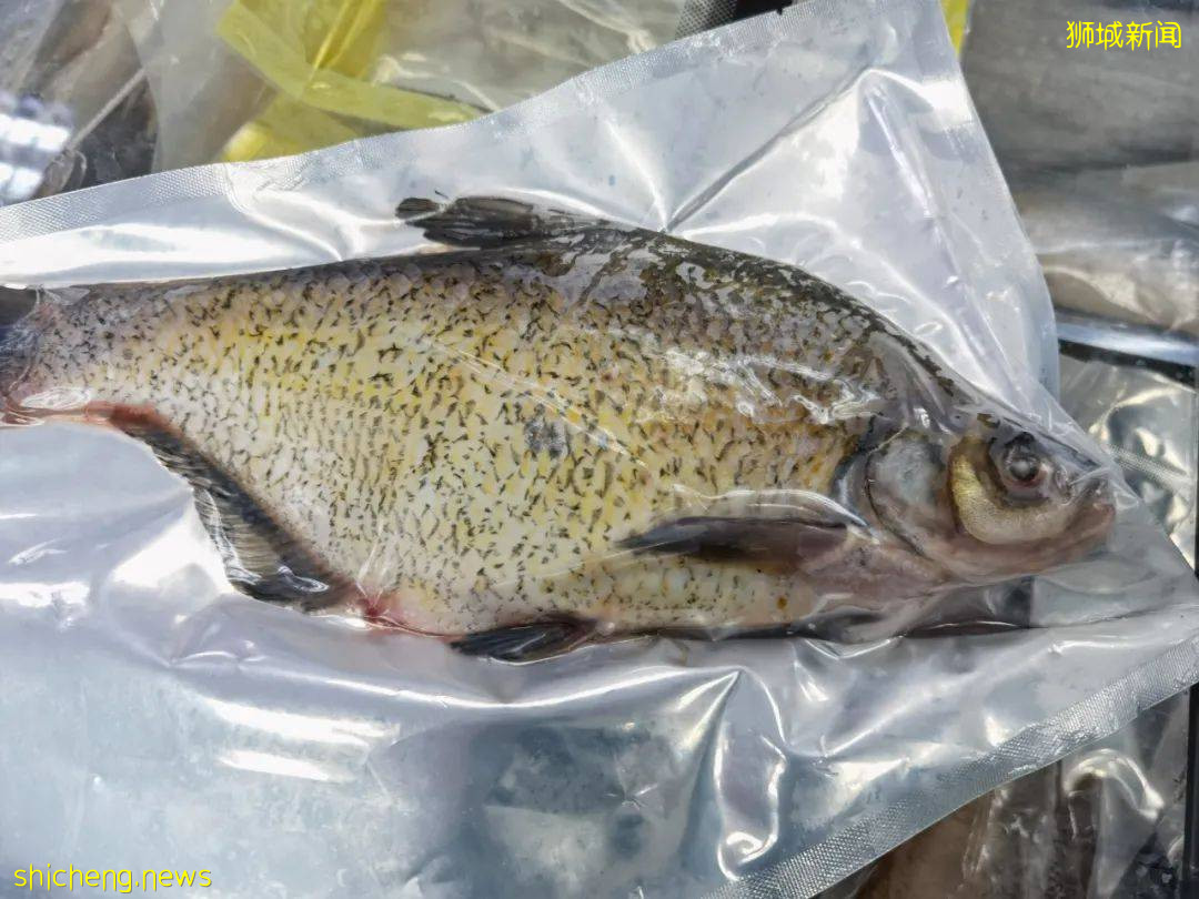 2021新加坡米其林榜出爐!種草高級海鮮食材:帝王蟹、加拿大青口、蘇格蘭竹蚌