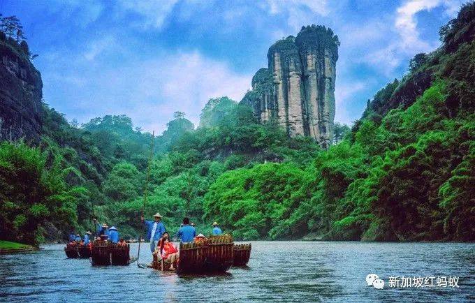 新中外长在武夷山会晤,母亲祖籍福建的维文不忘推荐大红袍