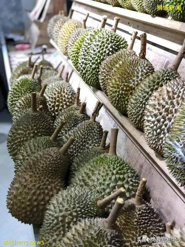 超火爆的榴梿主题餐厅,榴梿控挚爱的party怎能错过