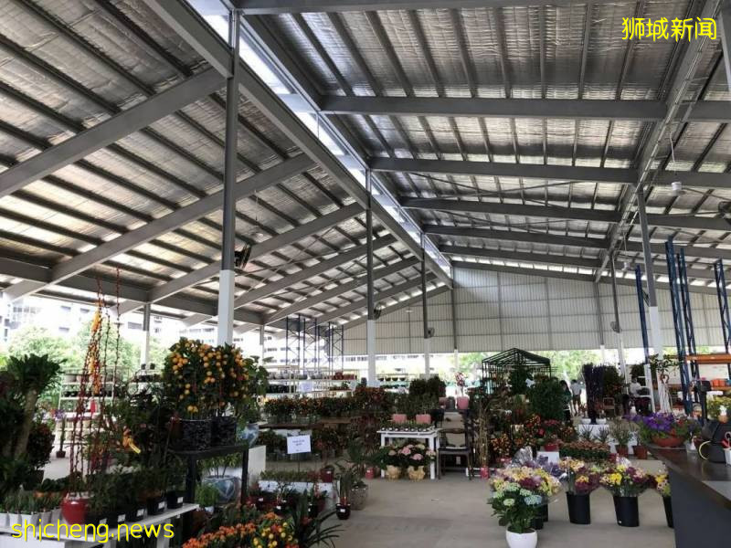 除了超市，原來新加坡還能在這些地方買到鮮花