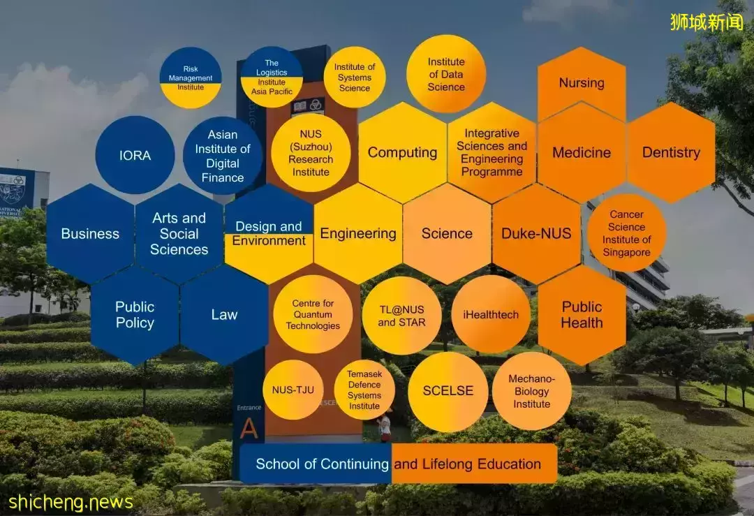 新課程新體驗!新加坡國立大學22/23學年全新課程,給學生帶來更多選擇