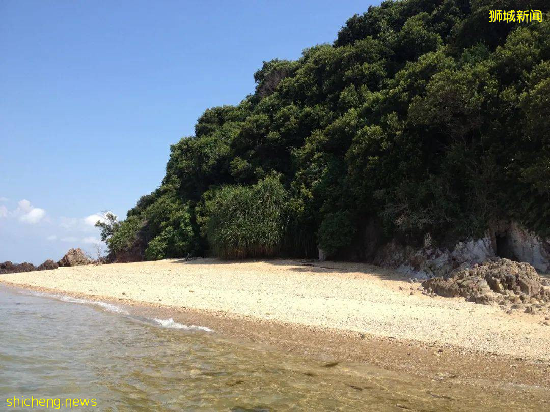 新加坡周边12个海岛推荐！无需签证，说走就走