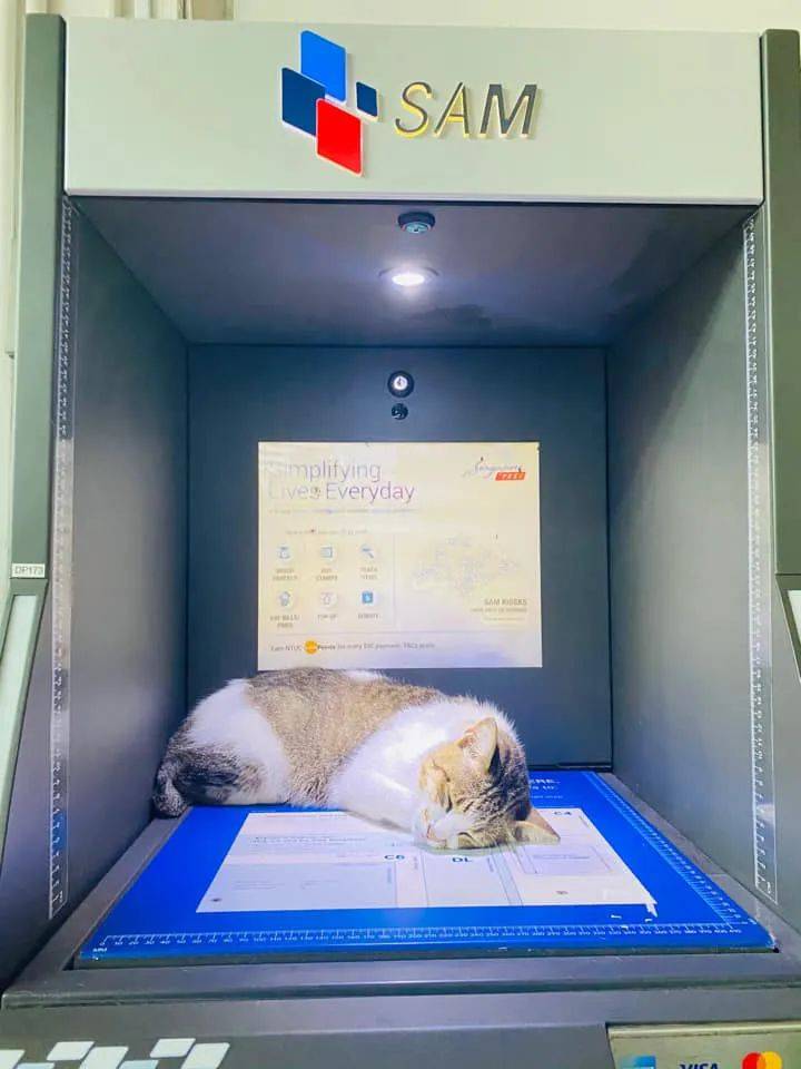 连续暴雨多天，终于在新加坡看到了黄河