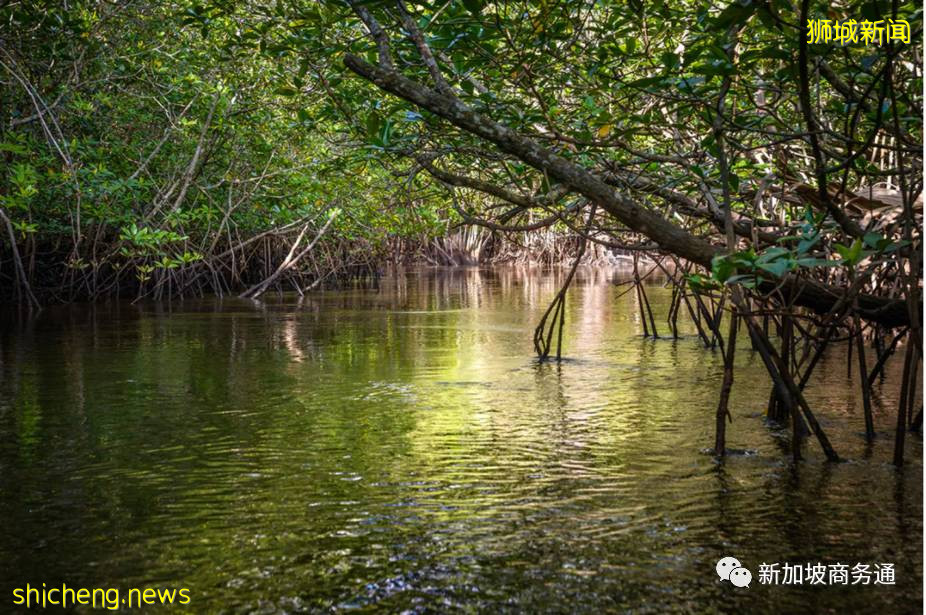 新加坡的後花園 新加坡附近最熱門的旅遊勝地