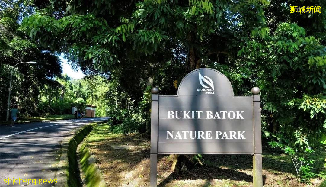 當騎行遇上新加坡,體驗獅城的無限魅力