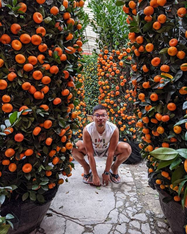 World Farm新加坡超大苗圃花市!绿植、盆栽、花卉都在这🌹 约会遛弯新去处