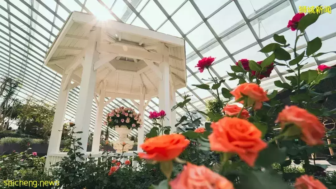 游玩攻略 新加坡好玩有趣的展览合集,不去别后悔