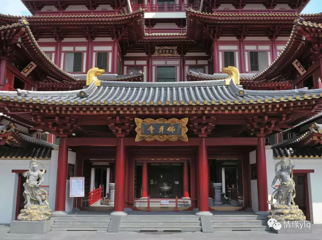 世界人口高密度國家之一的獅城,精心規劃的城市花園卻並不擁擠