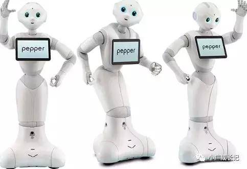 智慧岛国新加坡，已经把机器人试用到幼儿园了
