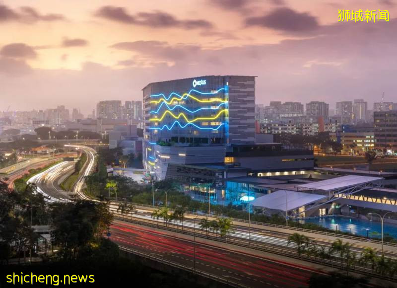 新加坡萊仕國際學校